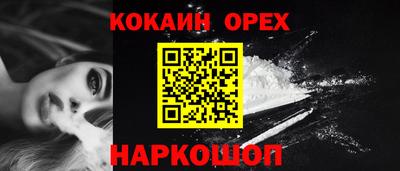 spice Новозыбков