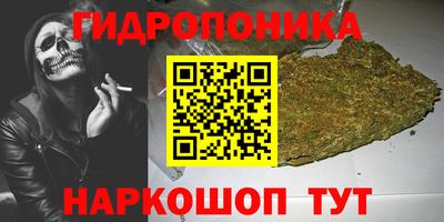 гашик Новокубанск