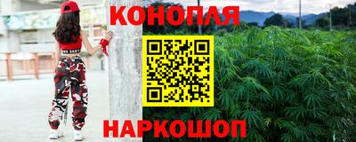 гашик Новокубанск