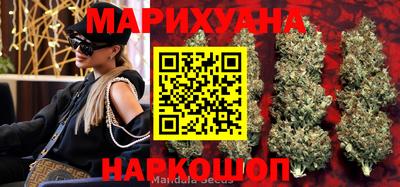 гашик Новокубанск