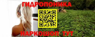 spice Новозыбков